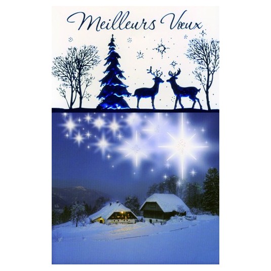 CARTE DOUBLE Meilleurs V&oelig;ux Chalets de montagne, cerf et sapin