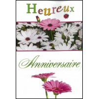 Cartes doubles anniversaire