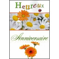 Cartes doubles anniversaire