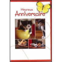 Cartes doubles anniversaire