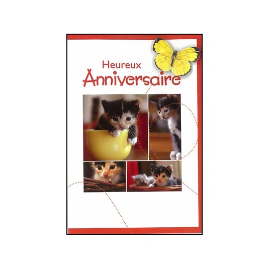 Carte Double Anniversaire Chatons