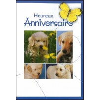 Cartes doubles anniversaire