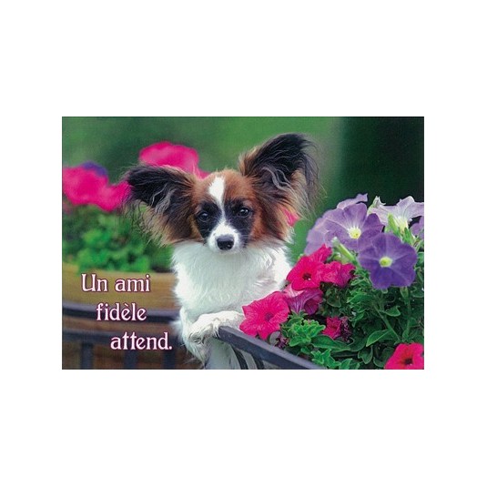 Mini Carte Chien dans fleurs