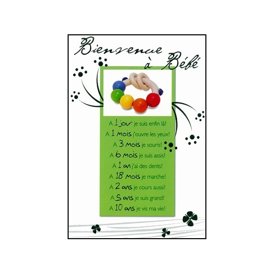 Carte Double Naissance Hochet