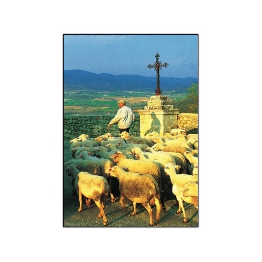 Carte Sans Texte Berger et ses moutons