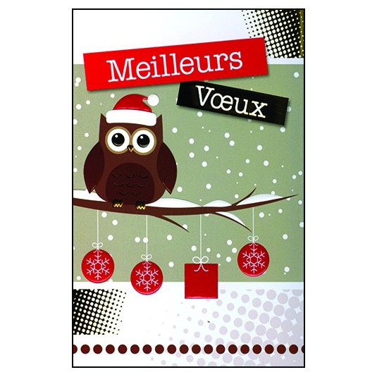 CARTE DOUBLE Meilleurs V&oelig;ux Hibou sur branche