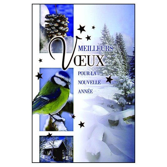 CARTE DOUBLE Meilleurs V&oelig;ux Oiseau, paysage enneig&eacute;