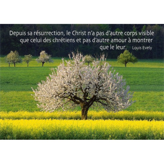 Carte Citation Arbres dans champ au printemps