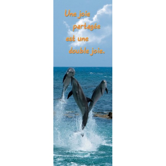Signet Dauphins