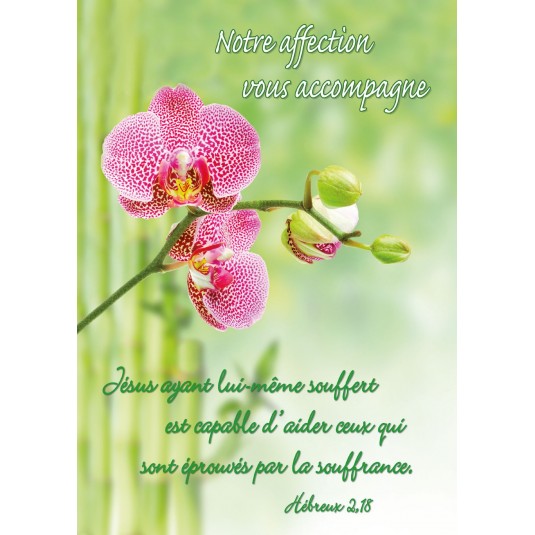 Carte Avec Verset Orchidée rose (Notre affection...)