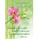Carte VB - Orchidée rose