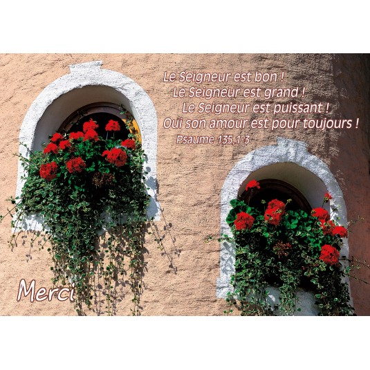 Carte Avec Verset Géraniums rouge sur niche d'un mur(Merci)