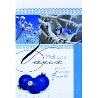 Carnet FA - MV Oiseau et boules bleues