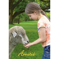 MINI CARTE : Fillette donnant à manger à un mouton(Amitié)