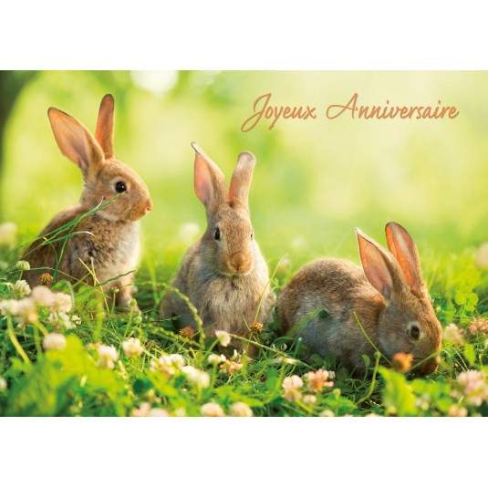 Carte Avec Message Trois lapins(JA)
