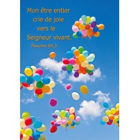 CARTE VB : Ballons multicolore