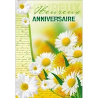 CARNET HA : Marguerites et fleurs de pissenlits