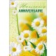 CARNET HA : Marguerites et fleurs de pissenlits