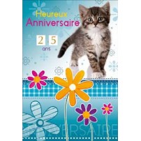 CARNET HA : Chat gris