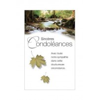 MINI CARNET SC : Torrent dans sous bois