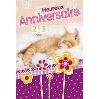 CARNET HA : Chat dormant sur couverture