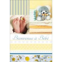 CARNET HE : Pieds b&eacute;b&eacute; paquerette et ourson bleu