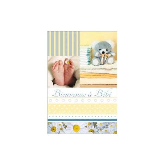 Carte Double Naissance Pieds b&eacute;b&eacute; paquerette et ourson bleu