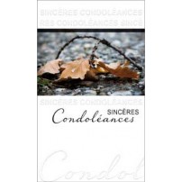 CARNET SC : Branche et feuilles mortes