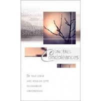 CARNET SC : Branches d'arbre au couchant