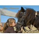 CARTE FLASH : Fillette embrassant un poney(JA)