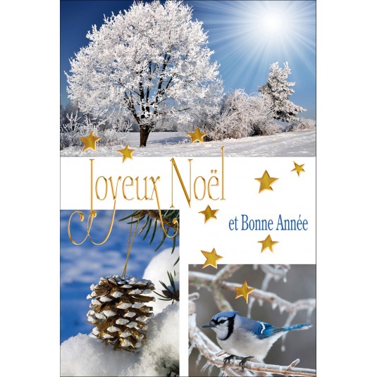 CARTE DOUBLE Joyeux No&euml;l et Bonne Ann&eacute;e Arbres et pomme de pin givr&eacute;s, oiseau