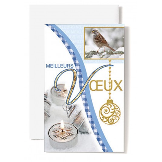 Mignonnette Mv Oiseau, bougeoirs et boules argent&eacute;s