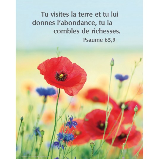 Poster Coquelicots