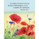 POSTER : Coquelicots