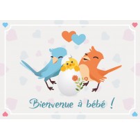 CARNET HE : Couple d'oiseau et leur poussin dessinés