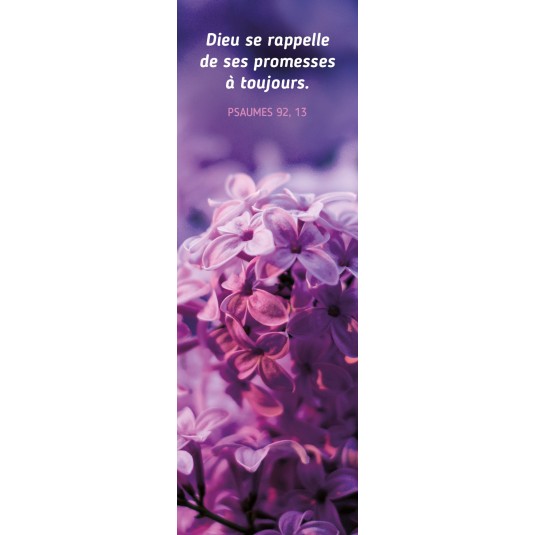 Signet Fleurs violettes