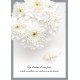 CARTE FLASH : Bouquet de fleurs blanches