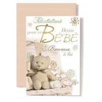 CARNET HE : Ourson,chausson &eacute;criture verte