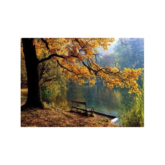 Carte Sans Texte Banc au bord d'un lac en automne