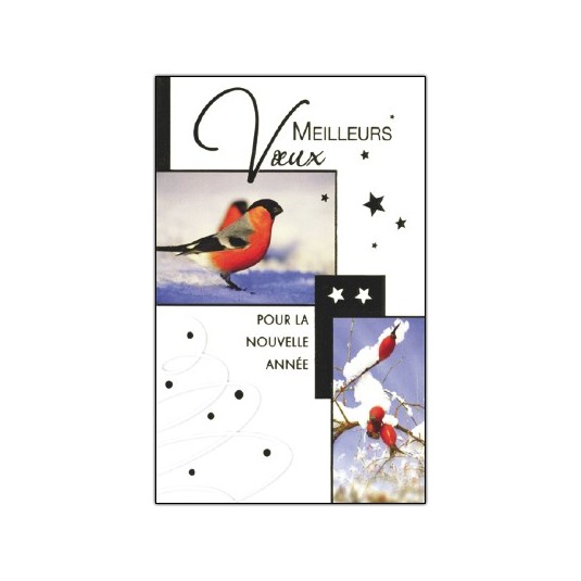 CARTE DOUBLE Meilleurs V&oelig;ux Oiseau et baies enneig&eacute;es
