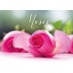 CARTE FLASH : Bouquet de rose posé sur une table (Merci)