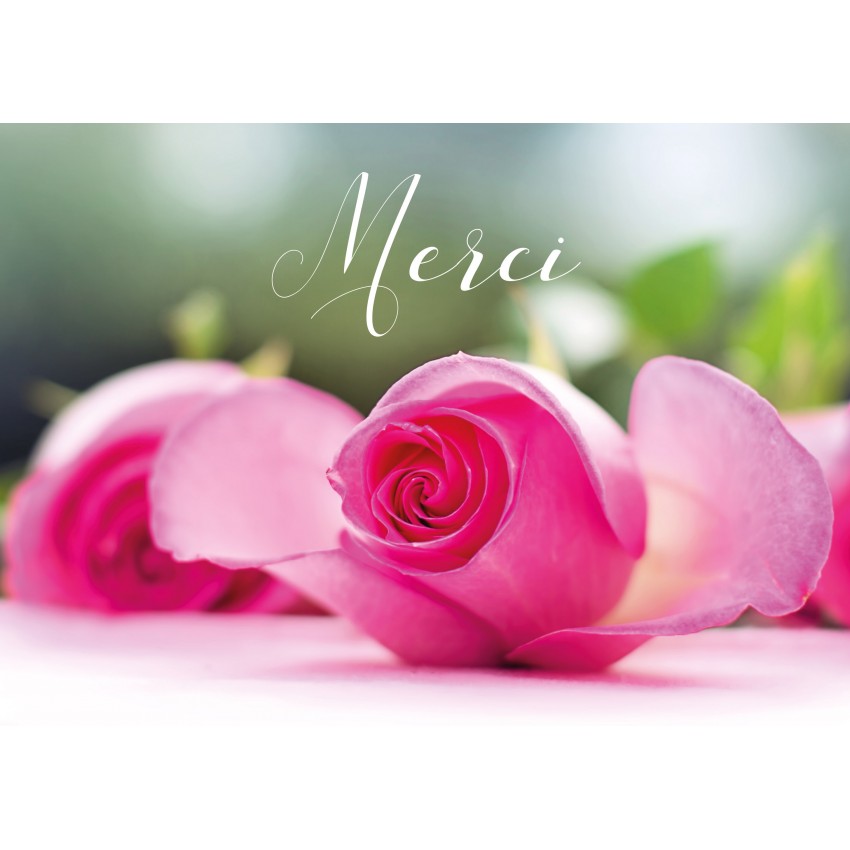 CARTE FLASH : Bouquet de rose posÃ© sur une table (Merci)
