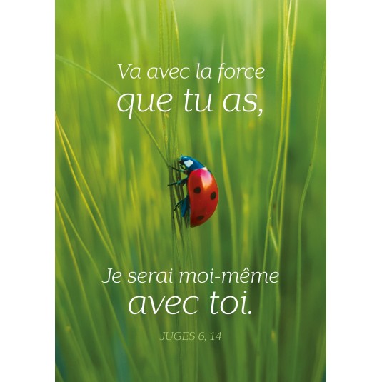 Carte Avec Verset Coccinelle sur un brin d'herbe