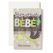 Carte Double Naissance Cigogne corps vert, chaussons verts.