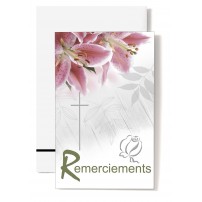 Mignonette Rsc Lys rose, croix, rose argent&eacute;e(Remer.)