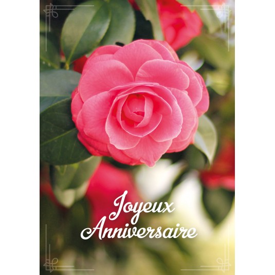 Carte Avec Message Gros Plan Sur Une Rose Sur Un Bouquet Ja Carte Avec Message Gros Plan Sur Une Rose Sur Un Bouquet Ja