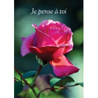 Carte Avec Message Rose sur fond de verdure(Pensée)