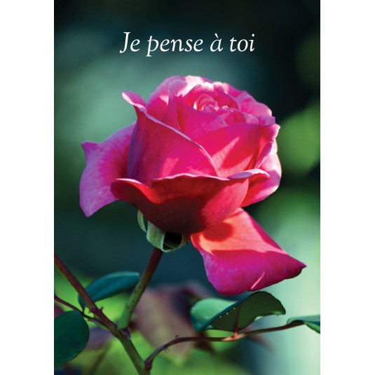 Carte Avec Message Rose sur fond de verdure (Pensée)