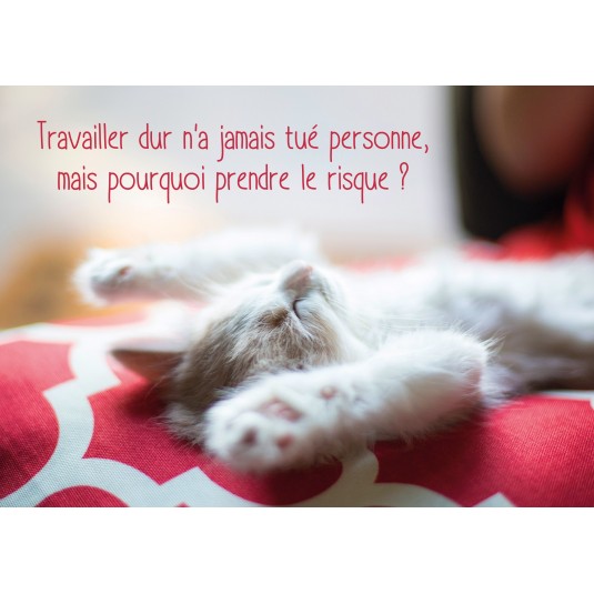 Carte Avec Message Chaton endormi sur le dos