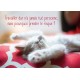 Carte Avec Message Chaton endormi sur le dos